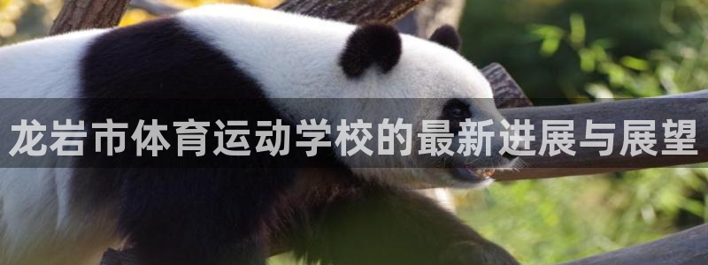 3377体育官方正版app集团官网网址:龙岩市体育运动学校的